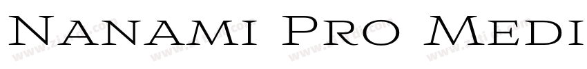 Nanami Pro Medium Re字体转换